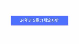 (9398期)2024年315暴力引流方针-创客云联盟