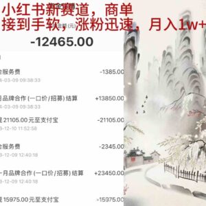 （9476期）小红书新赛道，商单接到手软，涨粉迅速，月入1w+-创客云联盟
