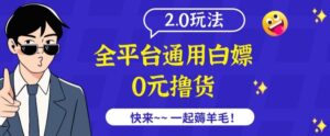 外面收费2980的全平台通用白嫖撸货项目2.0玩法【仅揭秘】-创客云联盟