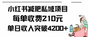 （9466期）小红书减肥私域项目每单收费210元单日成交20单，最高日入4200+-创客云联盟