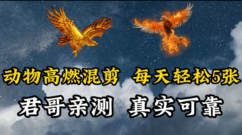 动物超燃混剪，每天轻松5张，剪辑简单大家爱看-创客云联盟