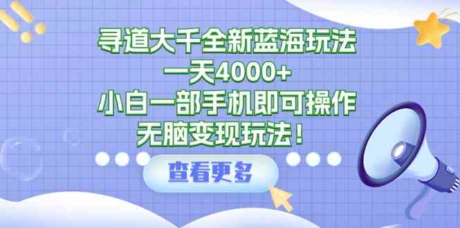 （9479期）寻道大千全新蓝海玩法，一天4000+，小白一部手机即可操作，无脑变现玩法！-创客云联盟