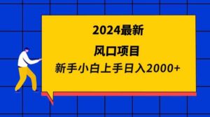 (9483期)2024最新风口项目 新手小白日入2000+-创客云联盟