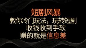 短剧风暴，教你冷门玩法，玩转短剧，收钱收到手软-创客云联盟
