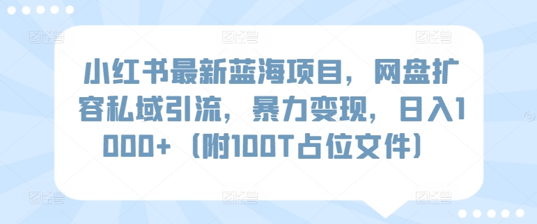 小红书最新蓝海项目，网盘扩容私域引流，暴力变现，日入1000+（附100T占位文件）-创客云联盟