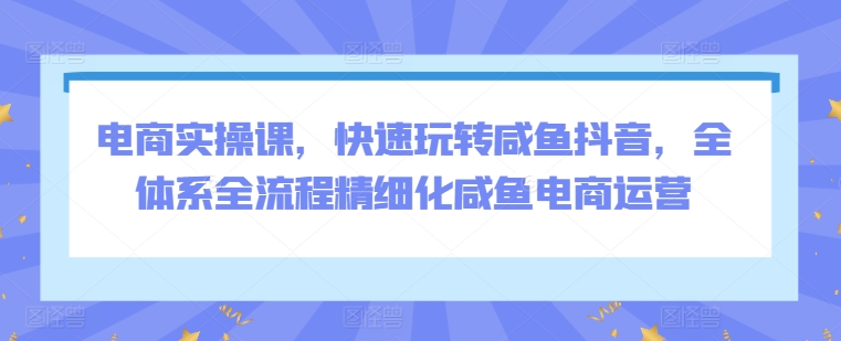 电商实操课，快速玩转咸鱼抖音，全体系全流程精细化咸鱼电商运营-创客云联盟