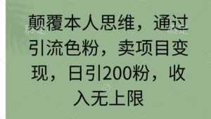 （9523期）颠覆本人思维，通过引流色粉，卖项目变现，日引200粉，收入无上限-创客云联盟