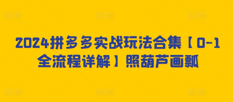 2024拼多多实战玩法合集【0-1全流程详解】照葫芦画瓢-创客云联盟