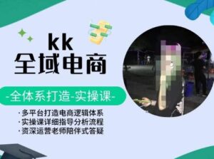 KK全域电商,全体系打造实操课,多平台打造电商逻辑体系-创客云联盟