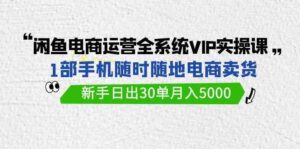 (9547期)闲鱼电商运营全系统VIP实战课,1部手机随时随地卖货,新手日出30单月入5000-创客云联盟