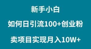 （9556期）新手小白如何通过卖项目实现月入10W+-创客云联盟