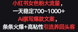 小红书女色粉大流量，一天稳定700~1000+  Ai撰写爆款文案，条条火爆+高粘性引流养回头客-创客云联盟