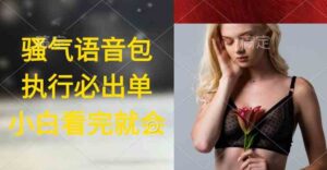 （9589期）执行就出单，日入2000+，超火骚气语音包，小白看完课程就能马上实操-创客云联盟