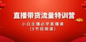(9592期)2024直播带货流量特训营,小白主播必学直播课(9节视频课)-创客云联盟