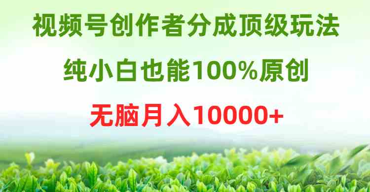 （9608期）视频号创作者分成顶级玩法，纯小白也能100%原创，无脑月入10000+-创客云联盟