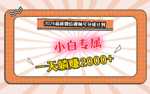 2024最新微信视频号分成计划，对新人友好，一天躺赚2000+-创客云联盟