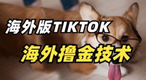 抖音海外版tiktok撸金技术，这个风口行业，赚钱真的不难-创客云联盟