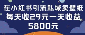 在小红书引流私域卖壁纸每张29元单日最高卖出200张(0-1搭建教程)-创客云联盟