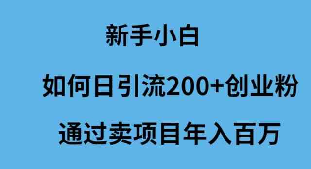 （9668期）新手小白如何日引流200+创业粉通过卖项目年入百万-创客云联盟