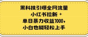 （9679期）黑科技引爆全网流量小红书拉新，单日暴力收益7000+，小白也能轻松上手-创客云联盟