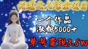 天选之人炼金项目,一个作品涨粉5000+,单号变现3.6w-创客云联盟