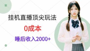(9715期)挂机直播顶尖玩法,睡后日收入2000+、0成本,视频教学-创客云联盟