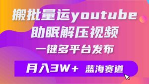 （9727期）批量搬运YouTube解压助眠视频 一键多平台发布 月入2W+-创客云联盟