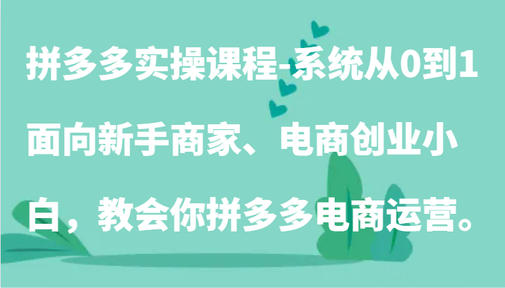 拼多多实操课程-系统从0到1，面向新手商家、电商创业小白，教会你拼多多电商运营。-创客云联盟