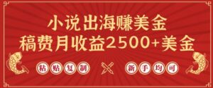 小说出海赚美金，稿费月收益2500+美金，仅需chatgpt粘贴复制，新手也能玩转-创客云联盟