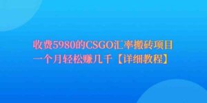 （9776期）CSGO装备搬砖，月综合收益率高达60%，你也可以！-创客云联盟