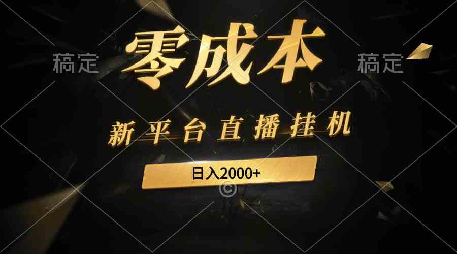 （9841期）新平台直播挂机最新玩法，0成本，不违规，日入2000+-创客云联盟