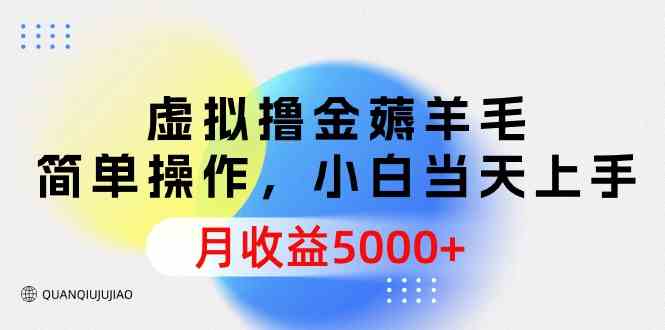 （9864期）虚拟撸金薅羊毛，简单操作，小白当天上手，月收益5000+-创客云联盟