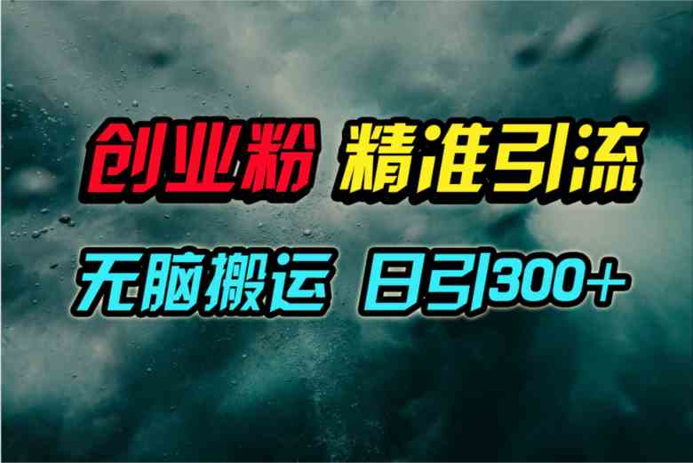 （9875期）视频号纯搬运日引300+创业粉教程！-创客云联盟