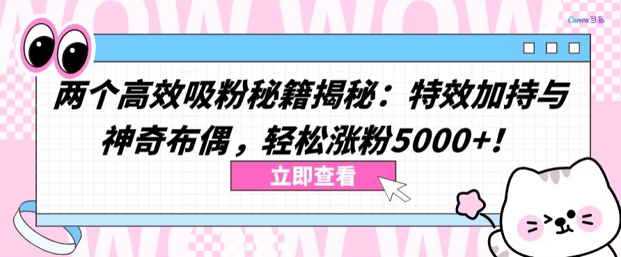 两个高效吸粉秘籍揭秘：特效加持与神奇布偶，轻松涨粉5000+-创客云联盟