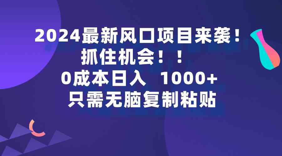 （9899期）2024最新风口项目来袭，抓住机会，0成本一部手机日入1000+，只需无脑复…-创客云联盟