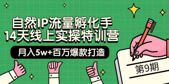 自然IP流量孵化手14天线上实操特训营【第9期】月入5w+百万爆款打造 (74节)-创客云联盟