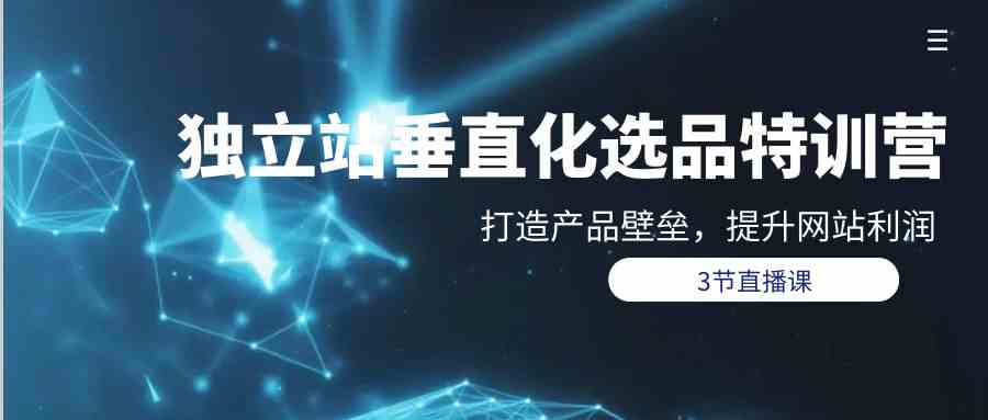 （9925期）独立站-垂直化选品训练营，打造产品壁垒，提升网站利润（3节直播课）-创客云联盟