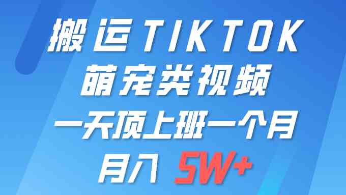 （9931期）一键搬运TIKTOK萌宠类视频 一部手机即可操作 所有平台均可发布 轻松月入5W+-创客云联盟