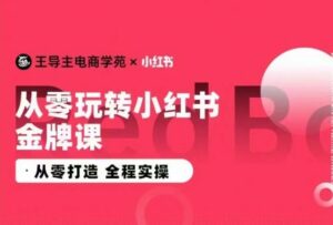 王导主·小红书电商运营实操课,从零打造 全程实操-创客云联盟