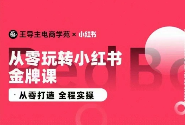 王导主·小红书电商运营实操课，​从零打造  全程实操-创客云联盟