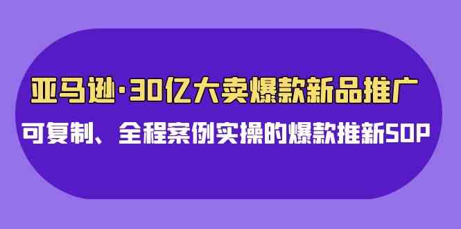 （9944期）亚马逊30亿·大卖爆款新品推广，可复制、全程案例实操的爆款推新SOP-创客云联盟