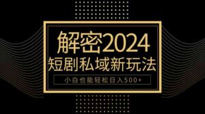 (9951期)10分钟教会你2024玩转短剧私域变现,小白也能轻松日入500+-创客云联盟