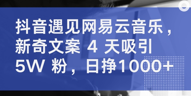 抖音遇见网易云音乐，新奇文案 4 天吸引 5W 粉，日挣1000+-创客云联盟
