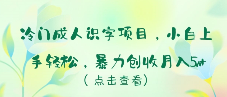 冷门成人识字项目，小白上手轻松，暴力创收月入5w+-创客云联盟