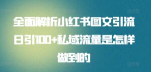 全面解析小红书图文引流日引100+私域流量是怎样做到的-创客云联盟