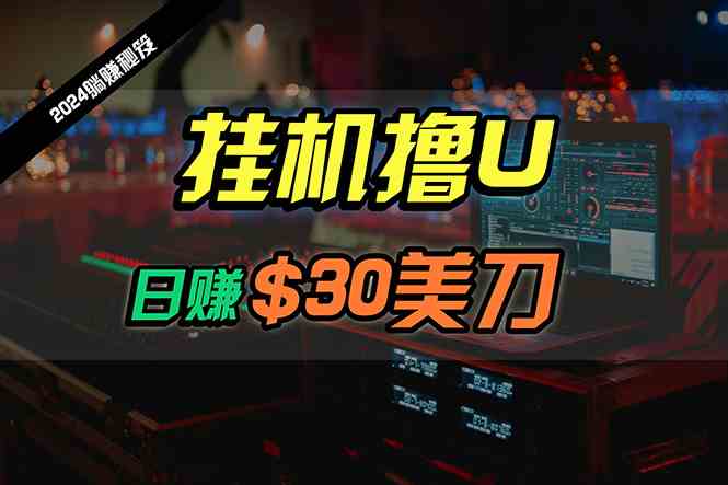 （10013期）日赚30美刀，2024最新海外挂机撸U内部项目，全程无人值守，可批量放大-创客云联盟