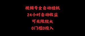 （10031期）视频号全自动挂机，24小时自动收益，可无限放大，0门槛0投入-创客云联盟