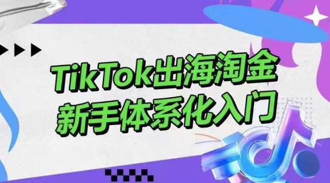 TikTok出海淘金，新手体系化入门，零基础快速入门，掌握短视频、直播带货等引流到变现的知识-创客云联盟