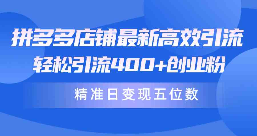 （10041期）拼多多店铺最新高效引流术，轻松引流400+创业粉，精准日变现五位数！-创客云联盟