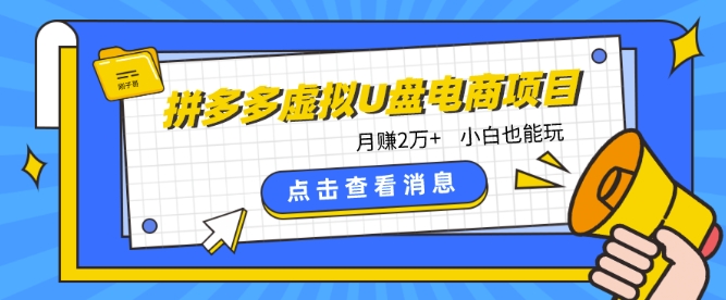 拼多多虚拟U盘电商红利项目：月赚2万+，新手小白也能玩-创客云联盟